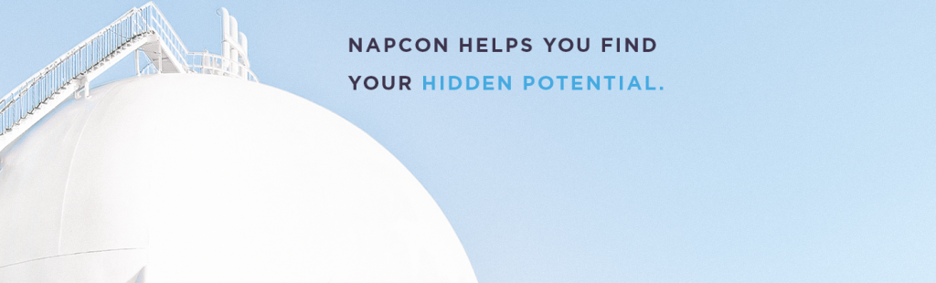 Napcon optimization solutions 2019 Napcon optimization solutions 2019